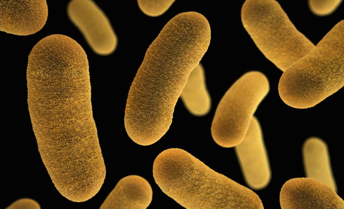 bactérie E.coli c'est quoi pizza Buitoni infection enfants risques traitement