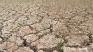 Corne de l'afrique sécheresse réchauffement climatique Africa 24 images