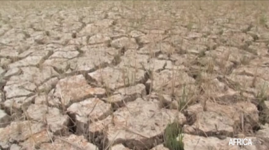 Corne de l'afrique sécheresse réchauffement climatique Africa 24 images