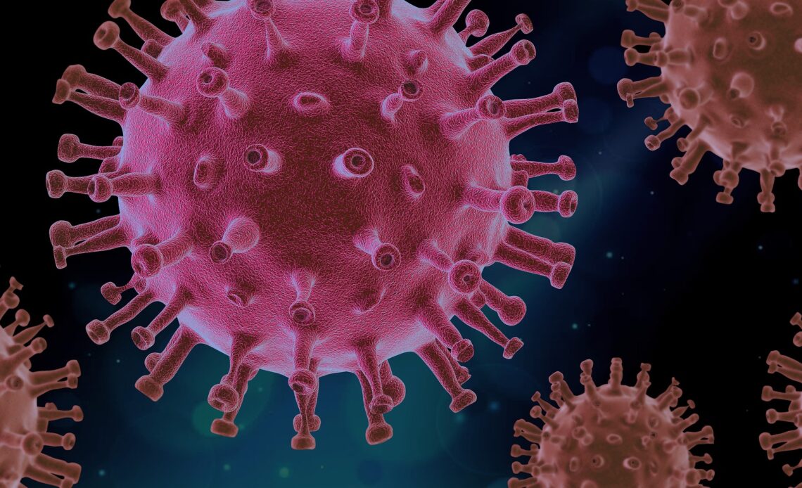 grippe de la tomate détection Inde nouveau virus symptômes