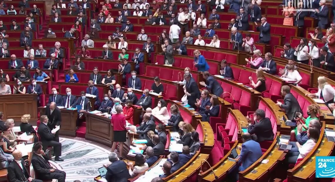 Photo illustration assemblée nationale Rémy Rebeyrotte député Renaissance salut nazi RN