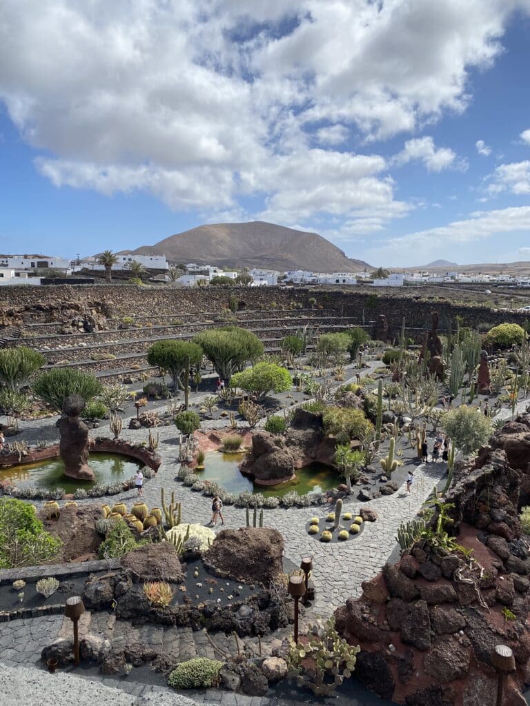 Jardin de cactus à Lanzarote 