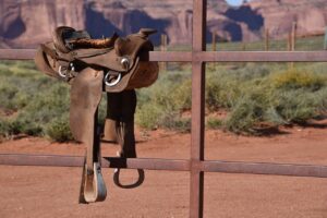 westerns