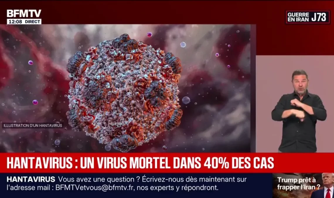 Hantavirus