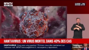 Hantavirus
